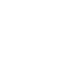 Our-Approach-Icon