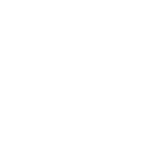 Vision-&-Mission-Icon